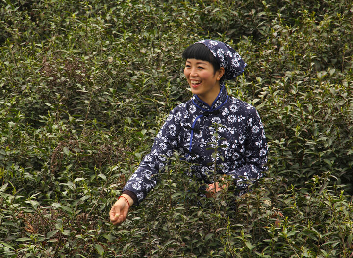 伊人app黄色直播入口